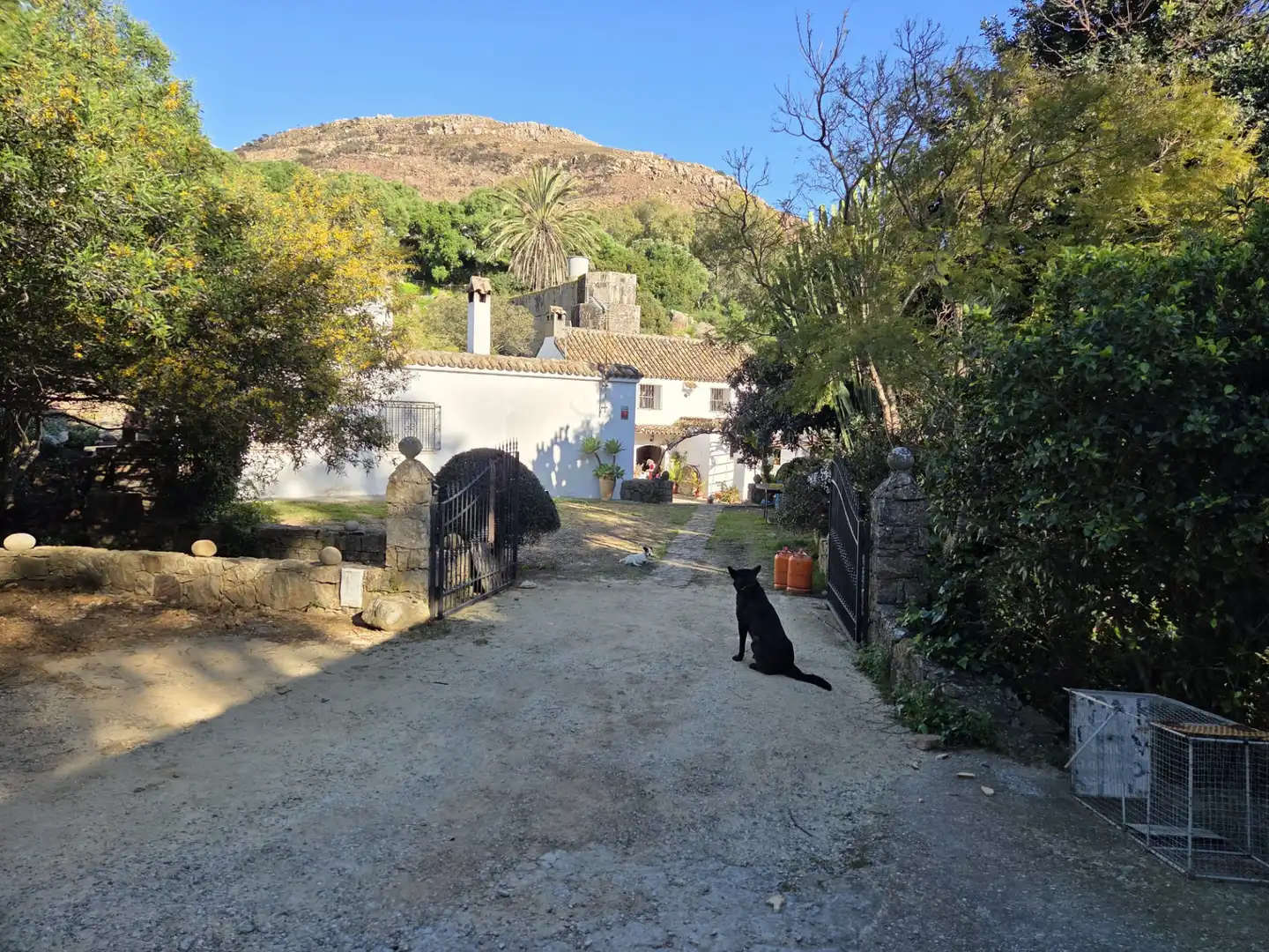 Exterior view of Country homes for sale in Tarifa ciudad
