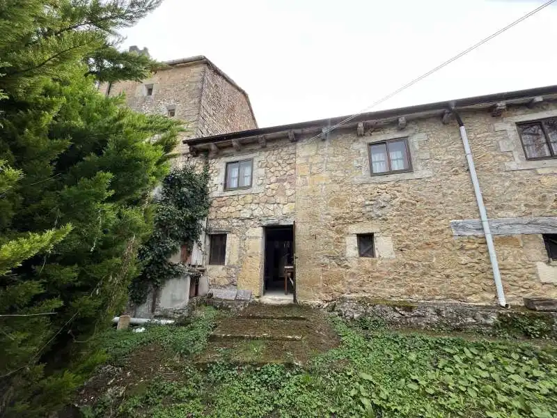 Vista exterior de Casa o chalet en venta en Valle de Manzanedo con Jardín privado