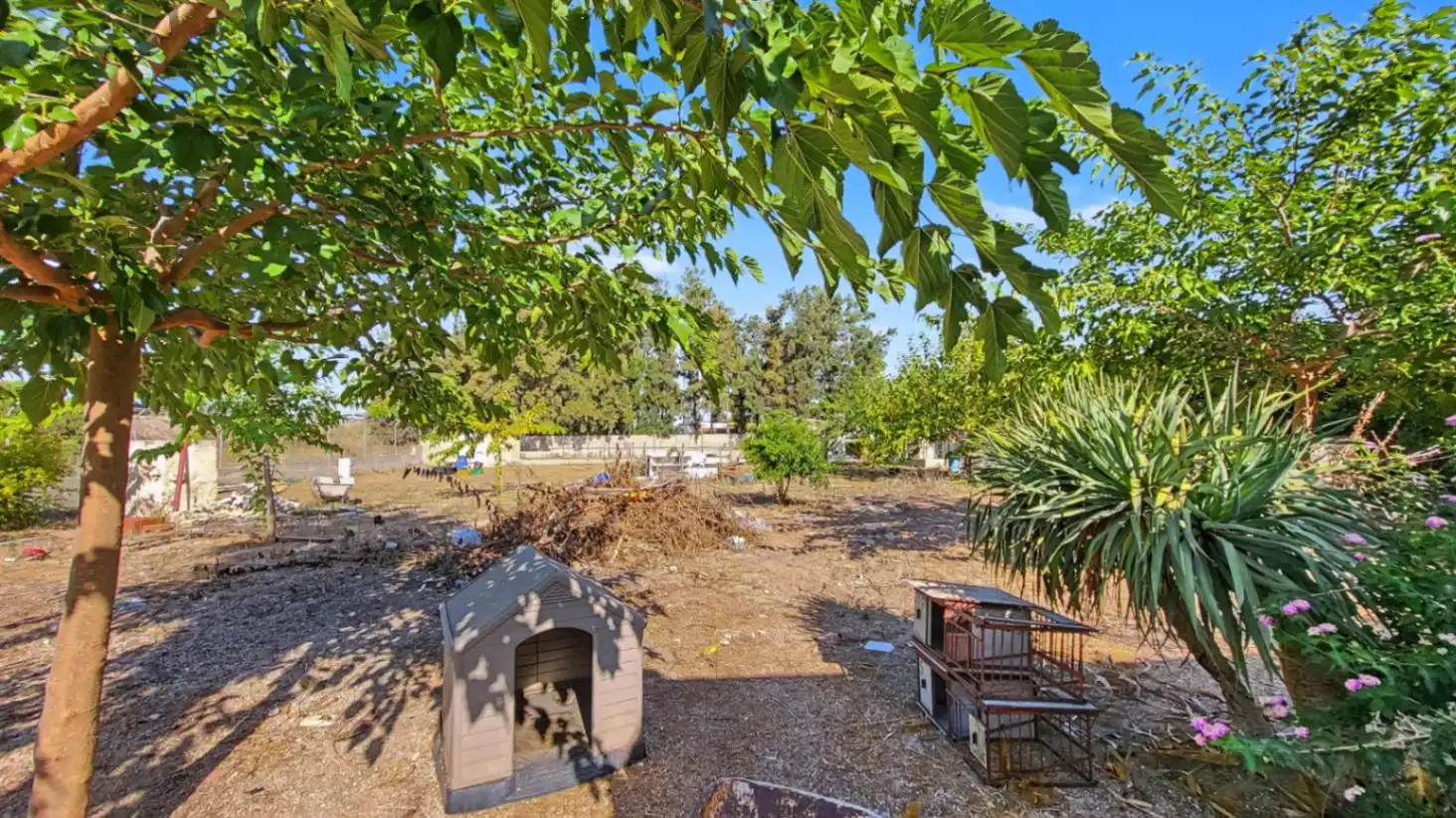 Maison rustique avec jardin à vendre à Oliva Nova, imagen 15