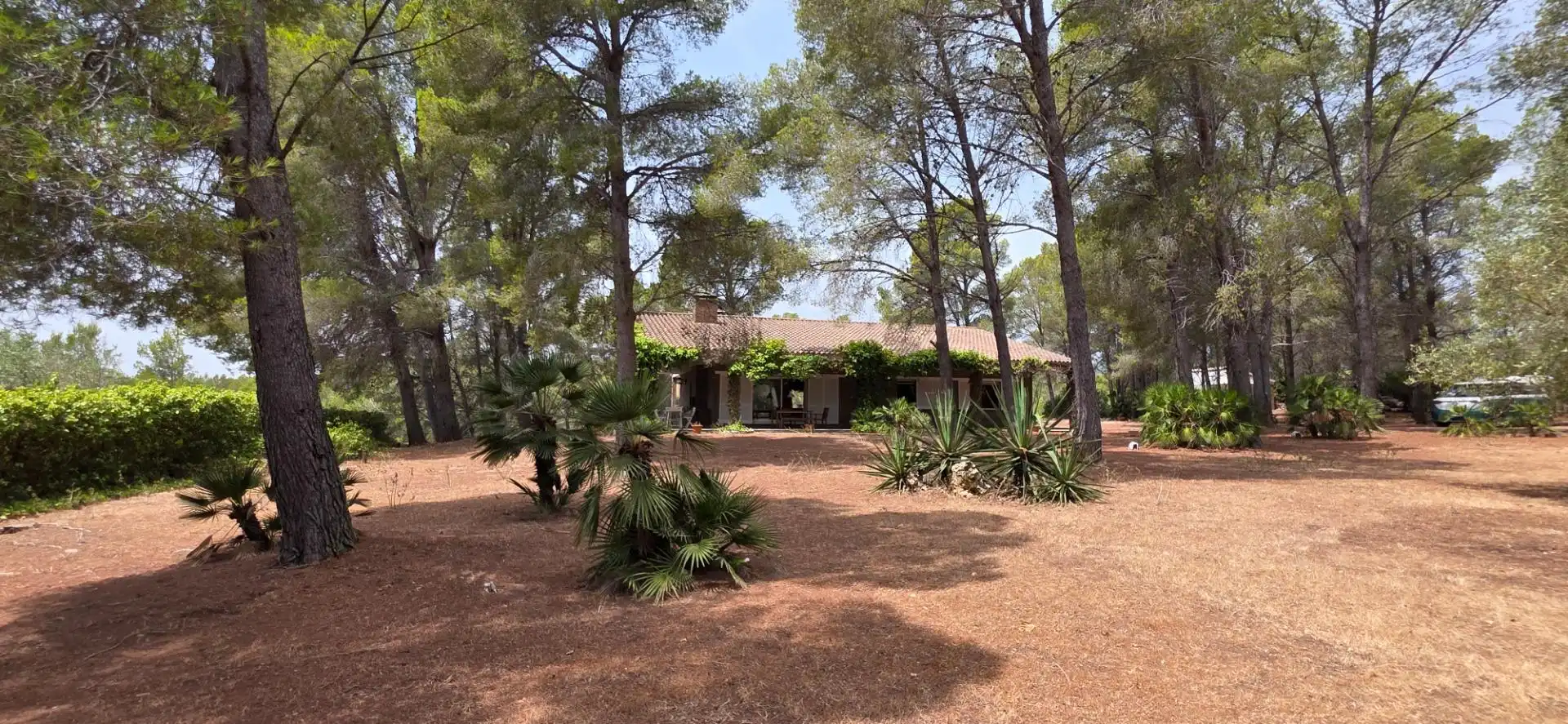 Jardín de Casa o chalet en venta en L'Ametlla de Mar  con Calefacción, Jardín privado y Terraza