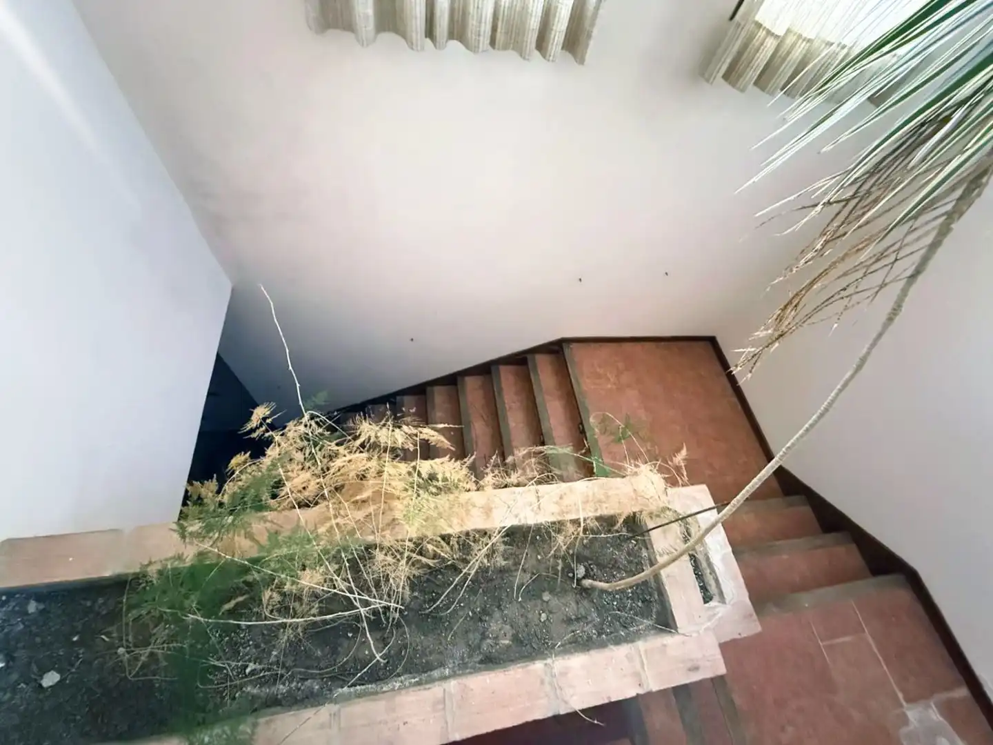 Houses for sale in Benalup-Casas Viejas  with Heating, Private garden and Terrace
