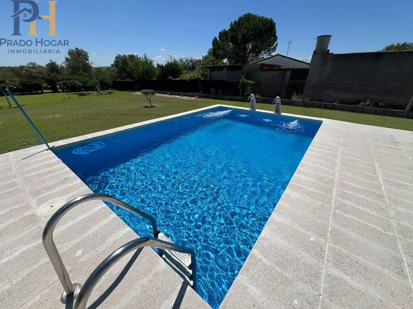 Swimming pool of Houses for sale in Pepino