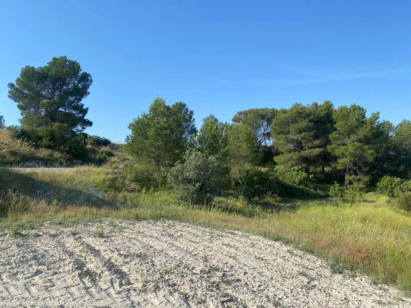 Villa à vendre à Moratalla, imagen 88