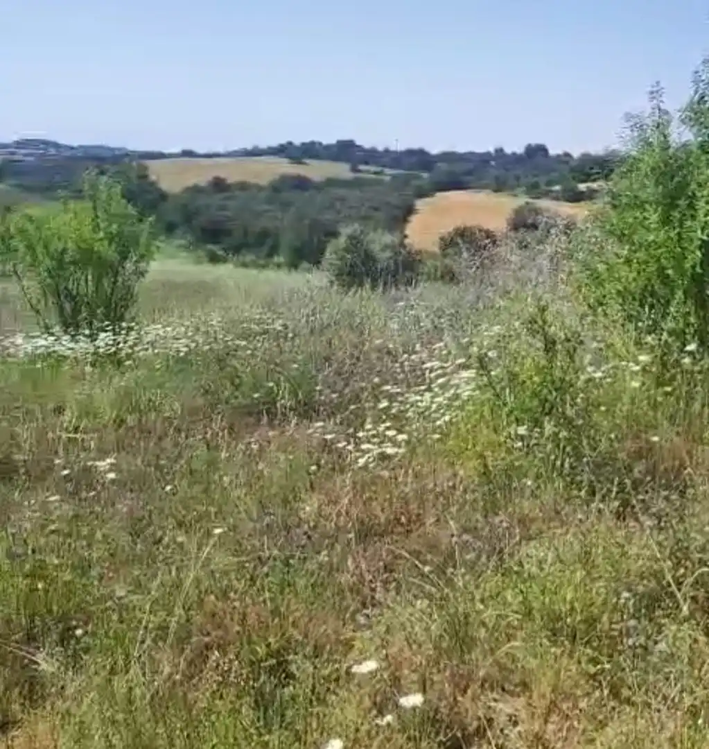 Terreni e lotti in vendita a Barbastro, imagen 14