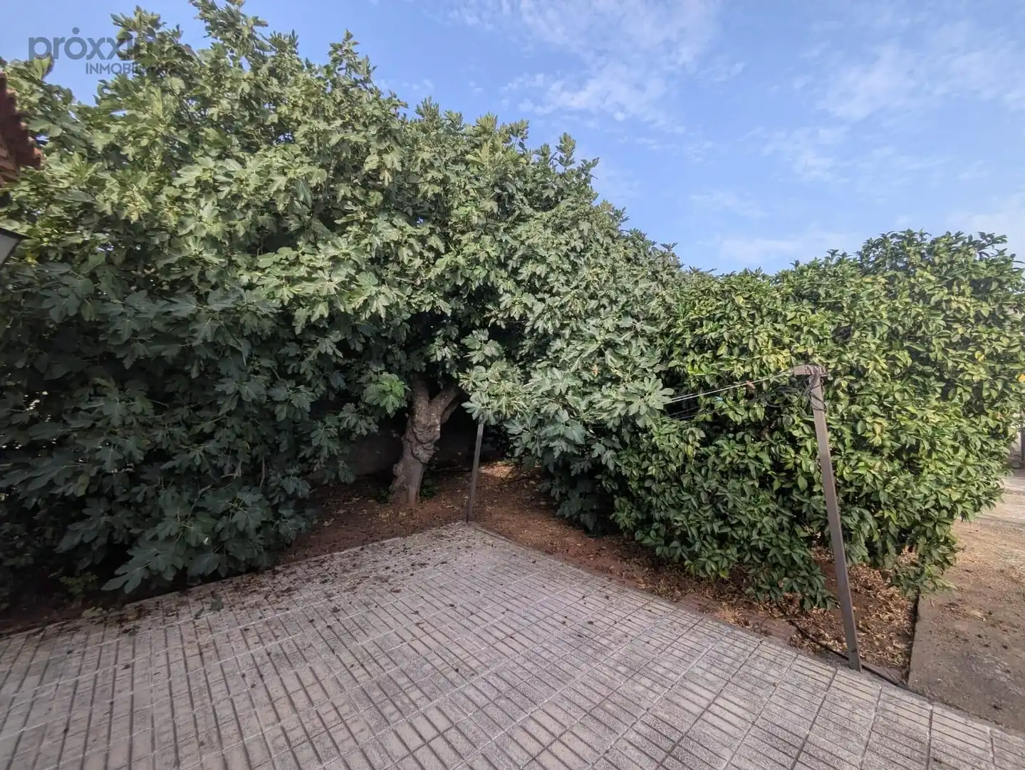 Finca rústica en venta en La Rinconada