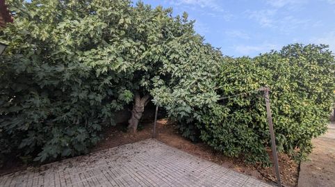 Foto 5 de Finca rústica en venda a Rinconada, La Rinconada