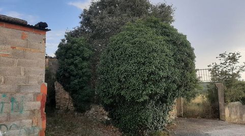 Caudiel Venta Conjunta Suelo C Ermita  Finca La Lobera Ideal Desconexión, imatge 2