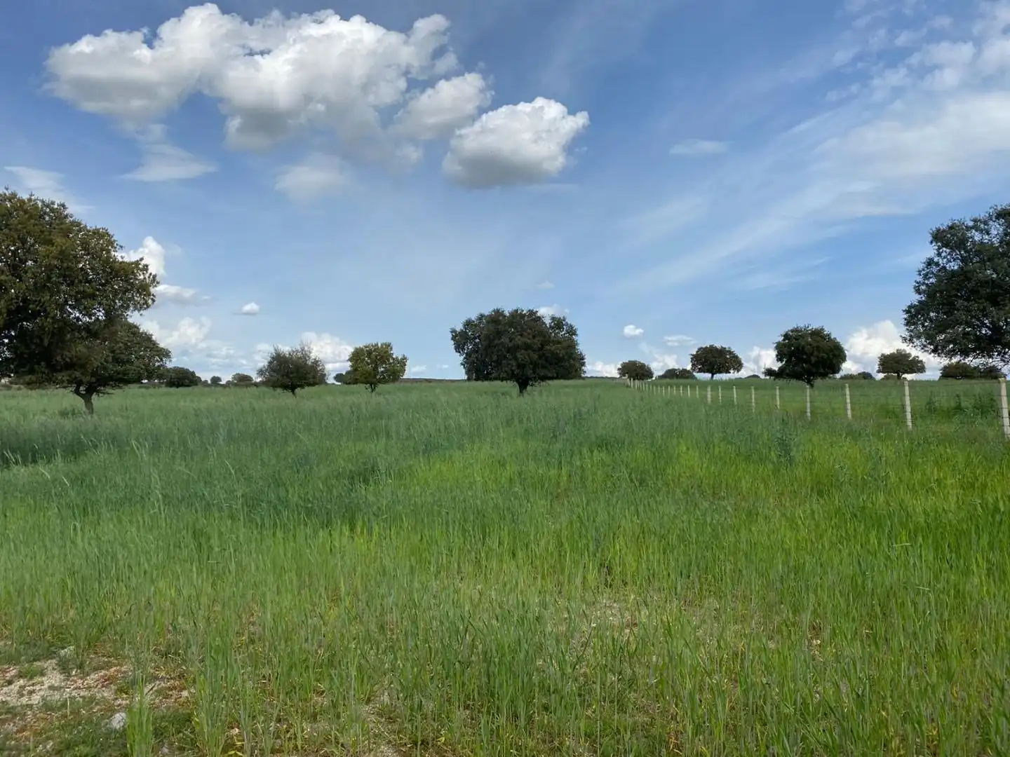 Terreno en venta en Mingorría