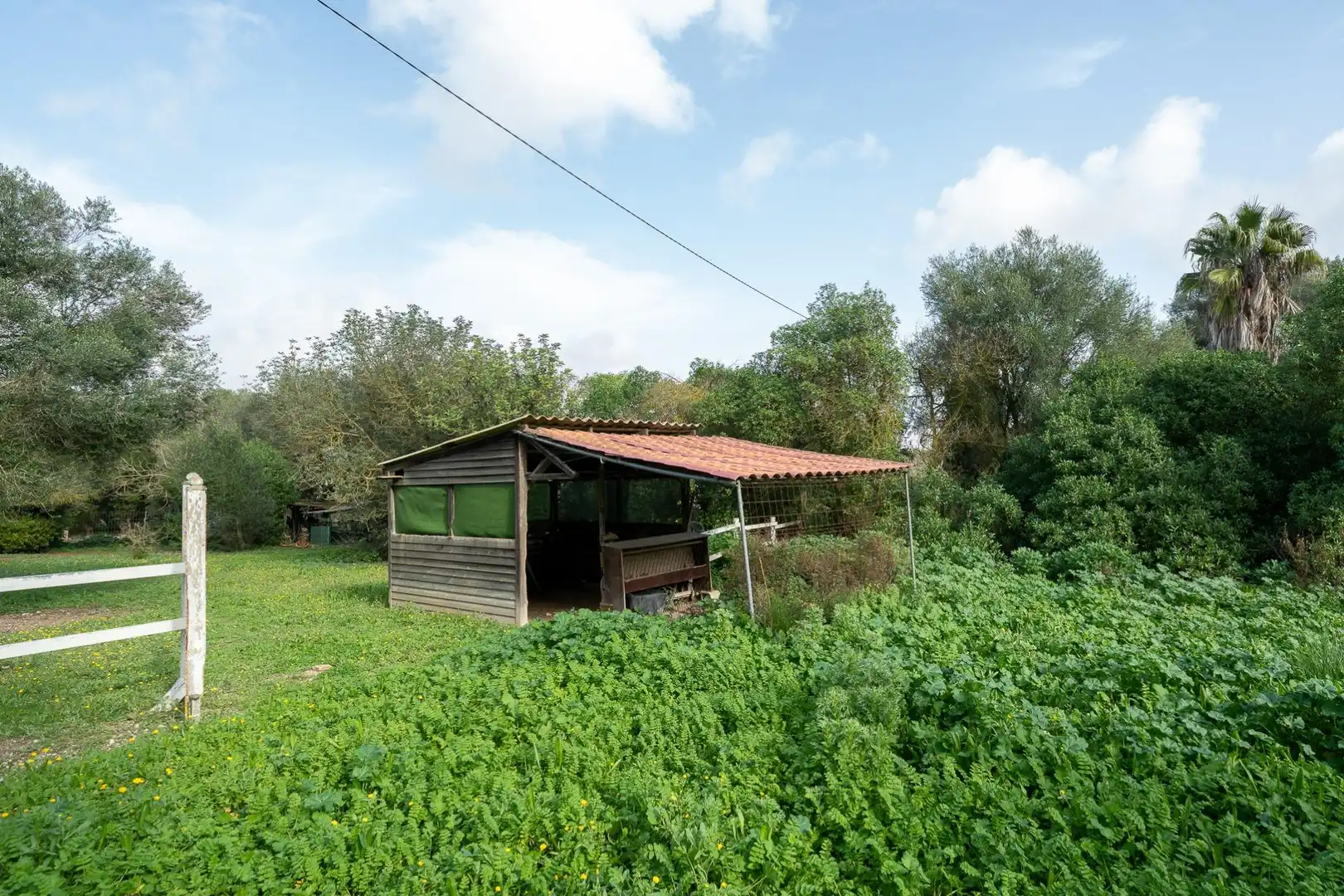 Casa rustica con piscina in vendita a Algaida, imagen 57