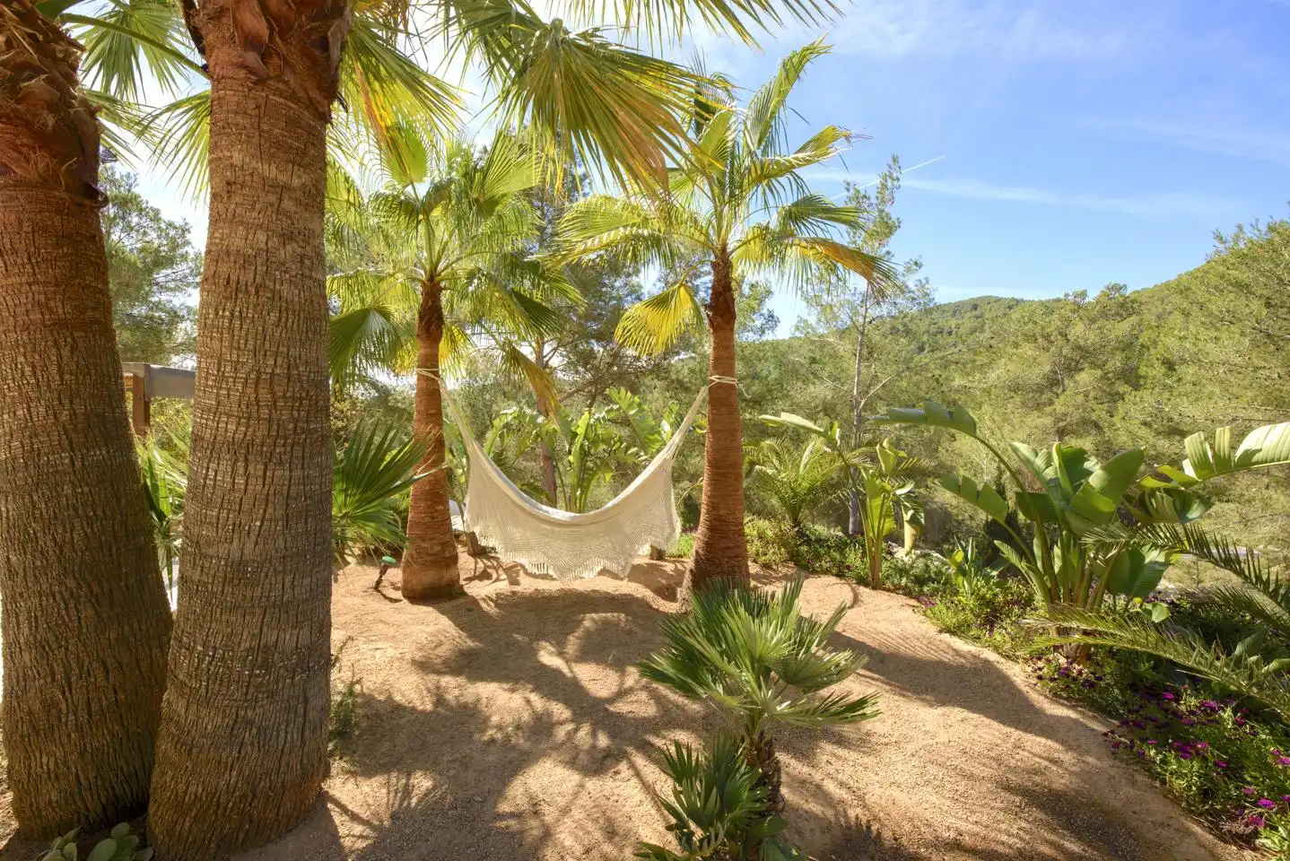 Garden of Houses for rent in Sant Josep de sa Talaia  with Private garden, Terrace and Swimming Pool