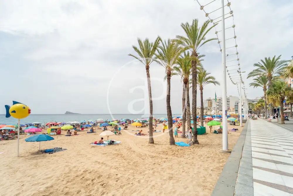 Exterior view of Flat for sale in Benidorm  with Heating, Terrace and Furnished