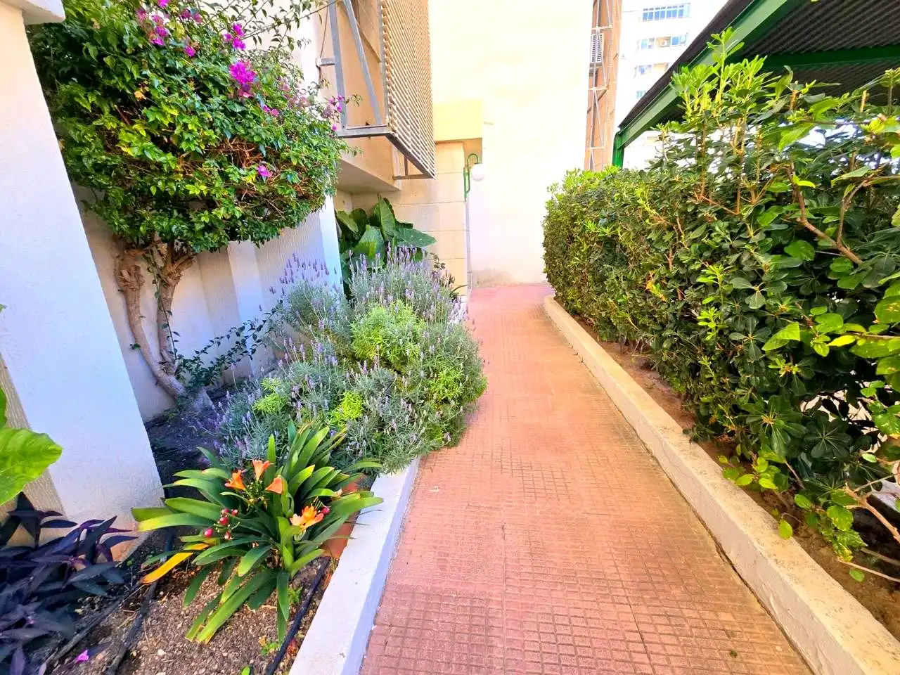 Vista exterior de Apartament de lloguer en Gandia amb Aire condicionat, Parquet i Terrassa