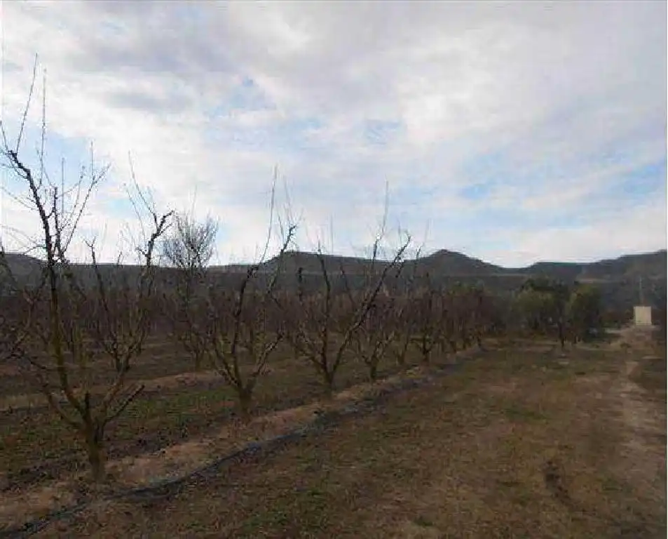 Terreno rustico in vendita a Velilla de Cinca, imagen 2