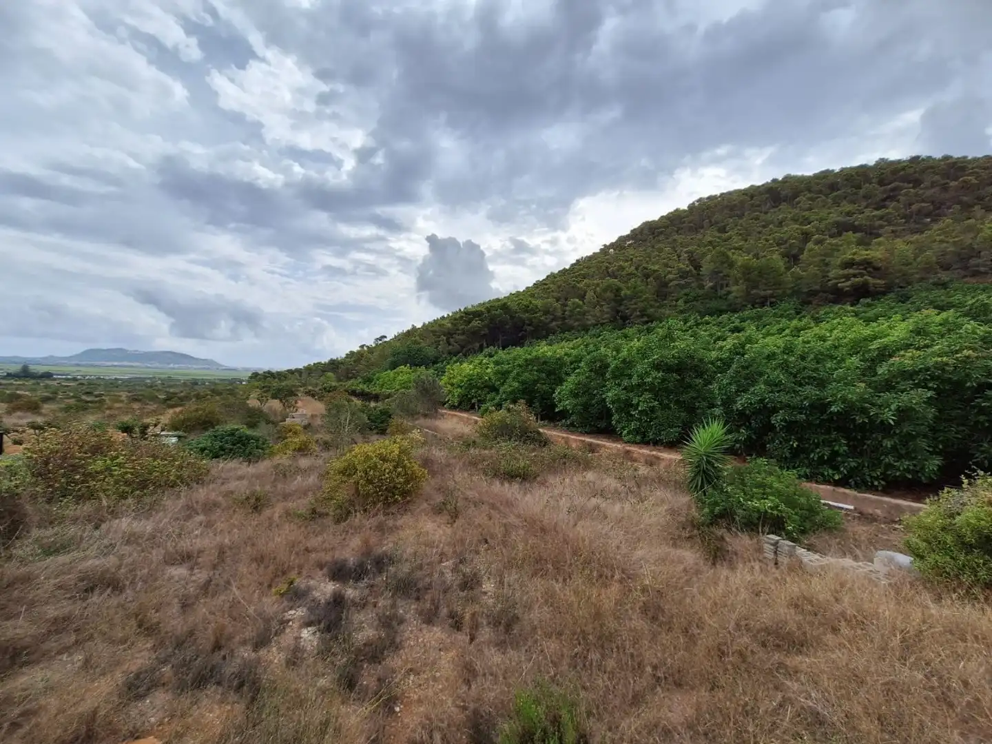 Casa o chalet en venta en Corbera con Trastero y Piscina
