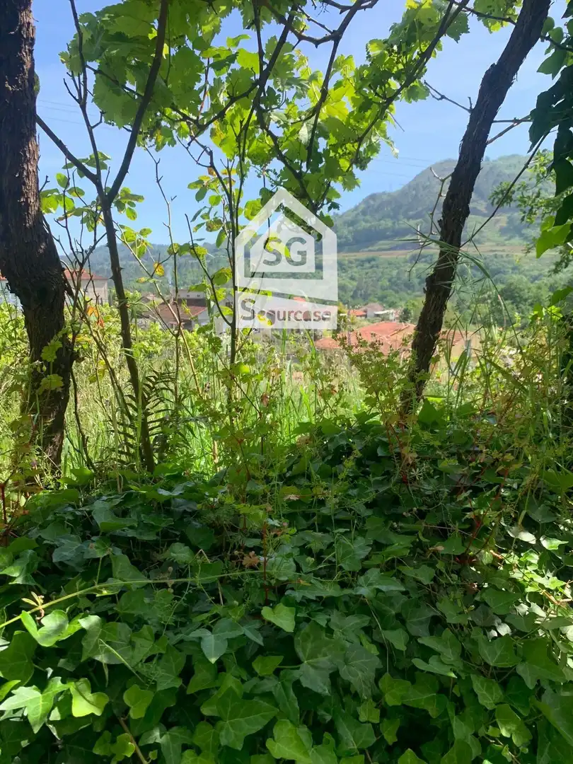 Terreni e lotti in vendita a Barbadás