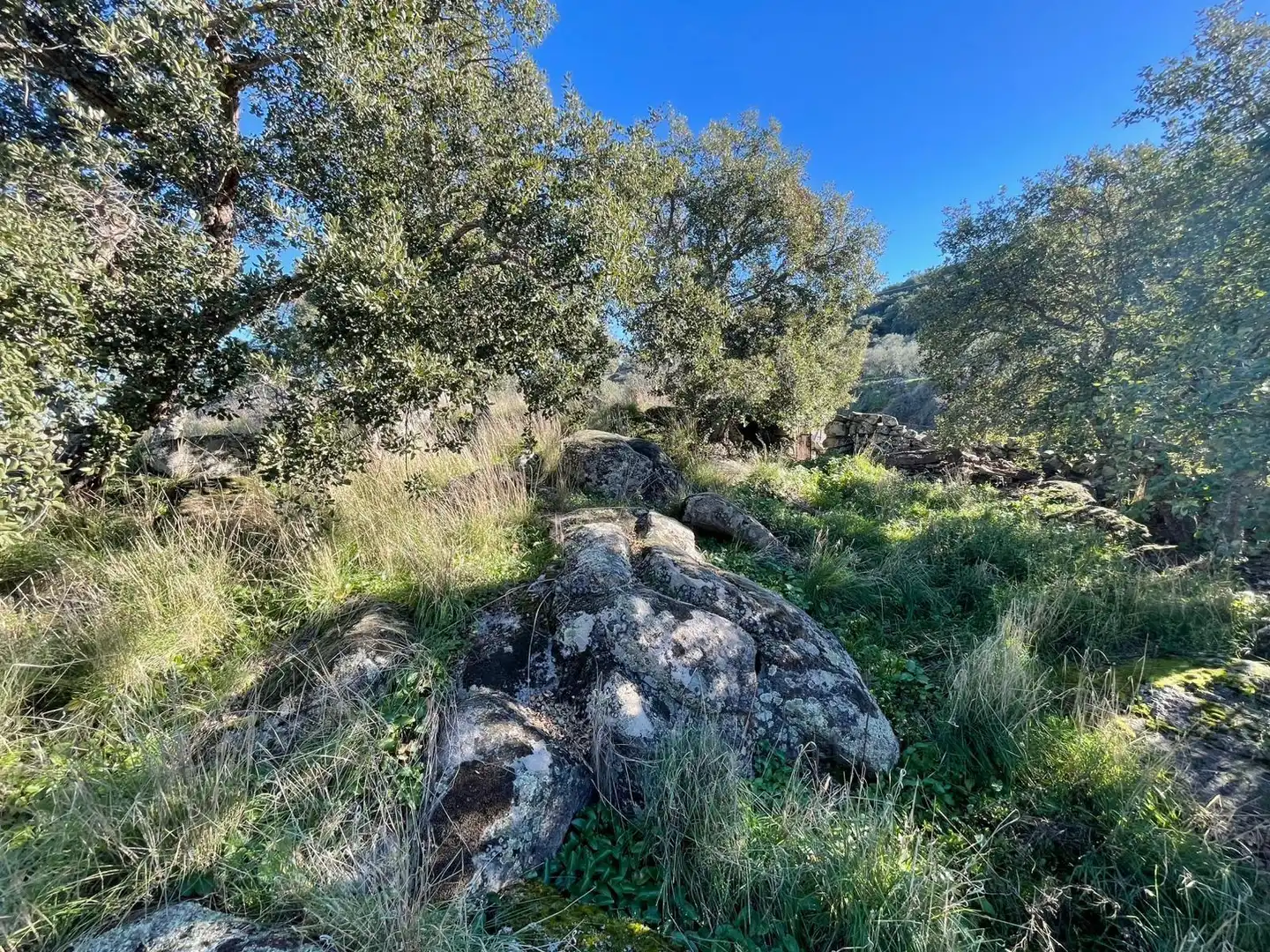 Terreni e lotti in vendita a Montánchez, imagen 9