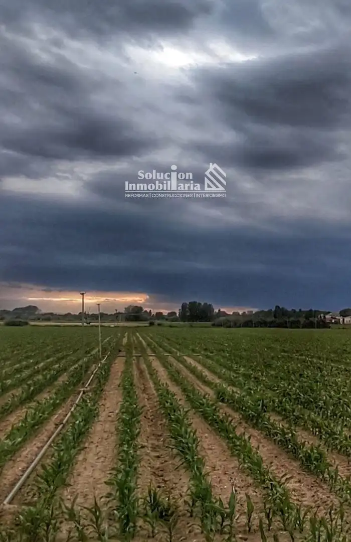 Land for sale in Encinas de Abajo