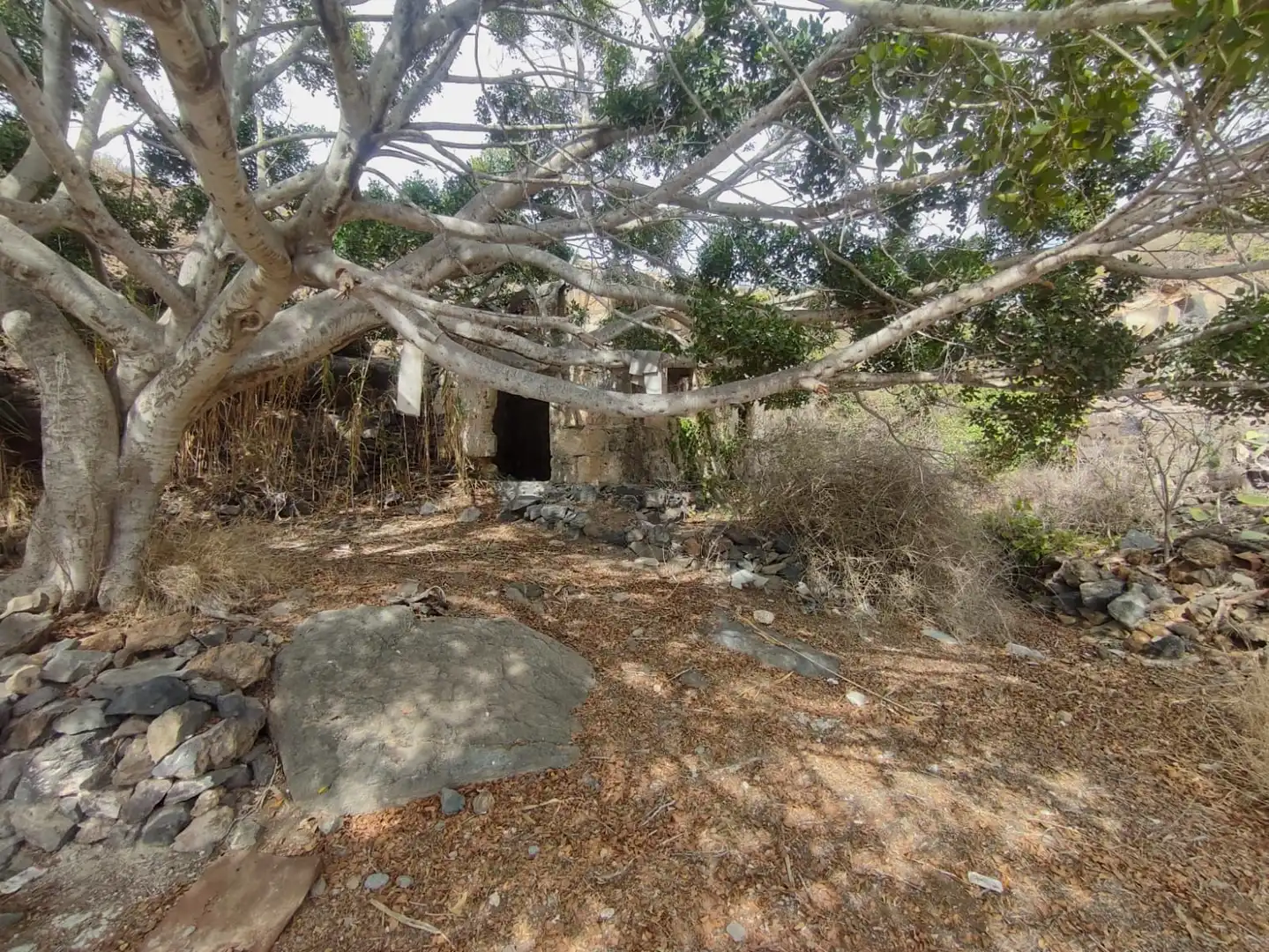 Terreno rústico en venta en Vilaflor de Chasna, imagen 14