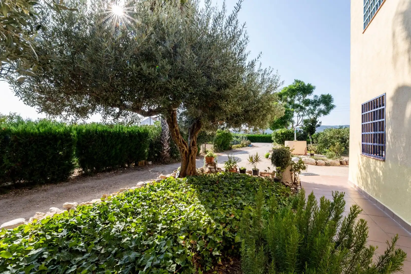 Casa rustica con giardino in vendita a Alcanar, imagen 33