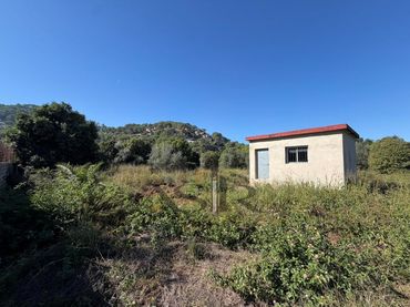 Chalet en venta en Calle Matilde Malo