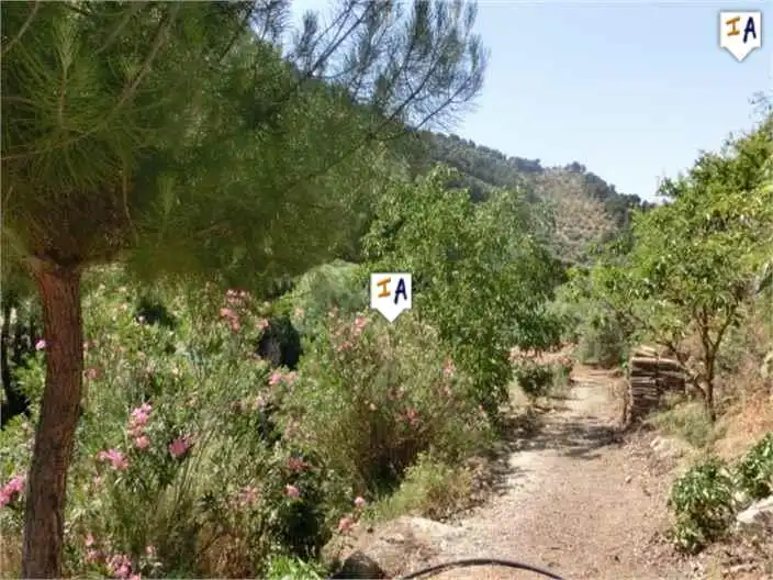 Casa rustica in vendita a Montefrío, imagen 5