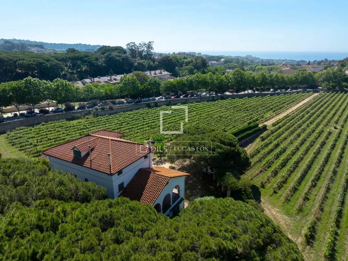 Vista exterior de Finca rústica en venda en Alella amb Jardí privat, Terrassa i Traster