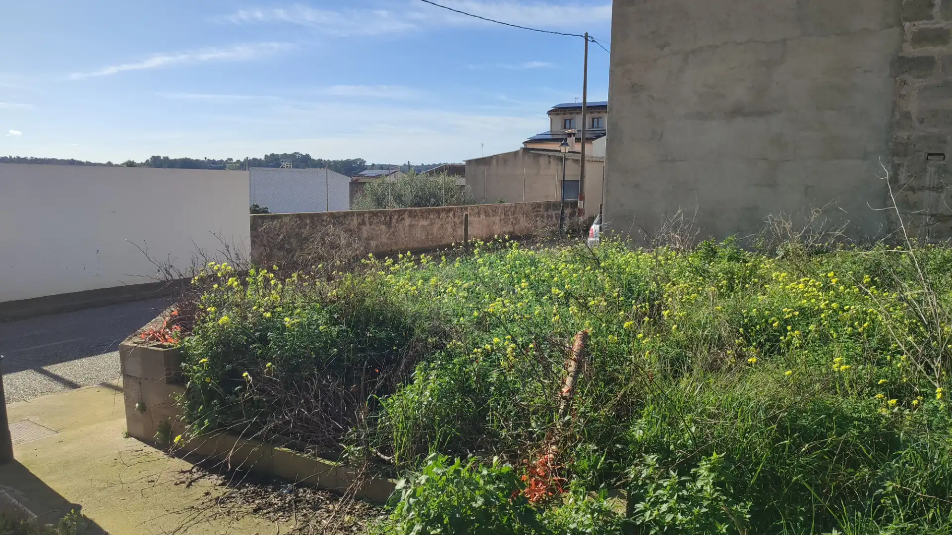 Terreny residencial en venda a Carrer d'es Mestre Bauçà 7, imagen 8