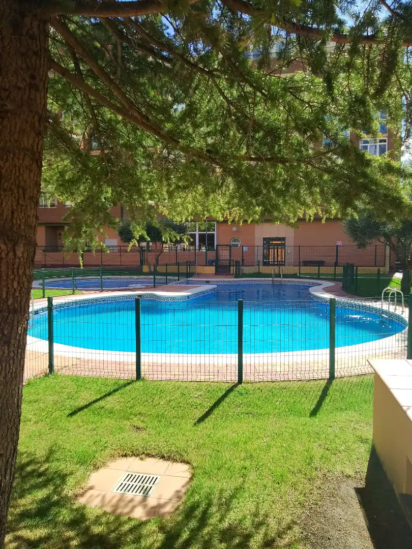 Swimming pool of Flat for rent in  Albacete Capital  with Air Conditioner, Heating and Terrace
