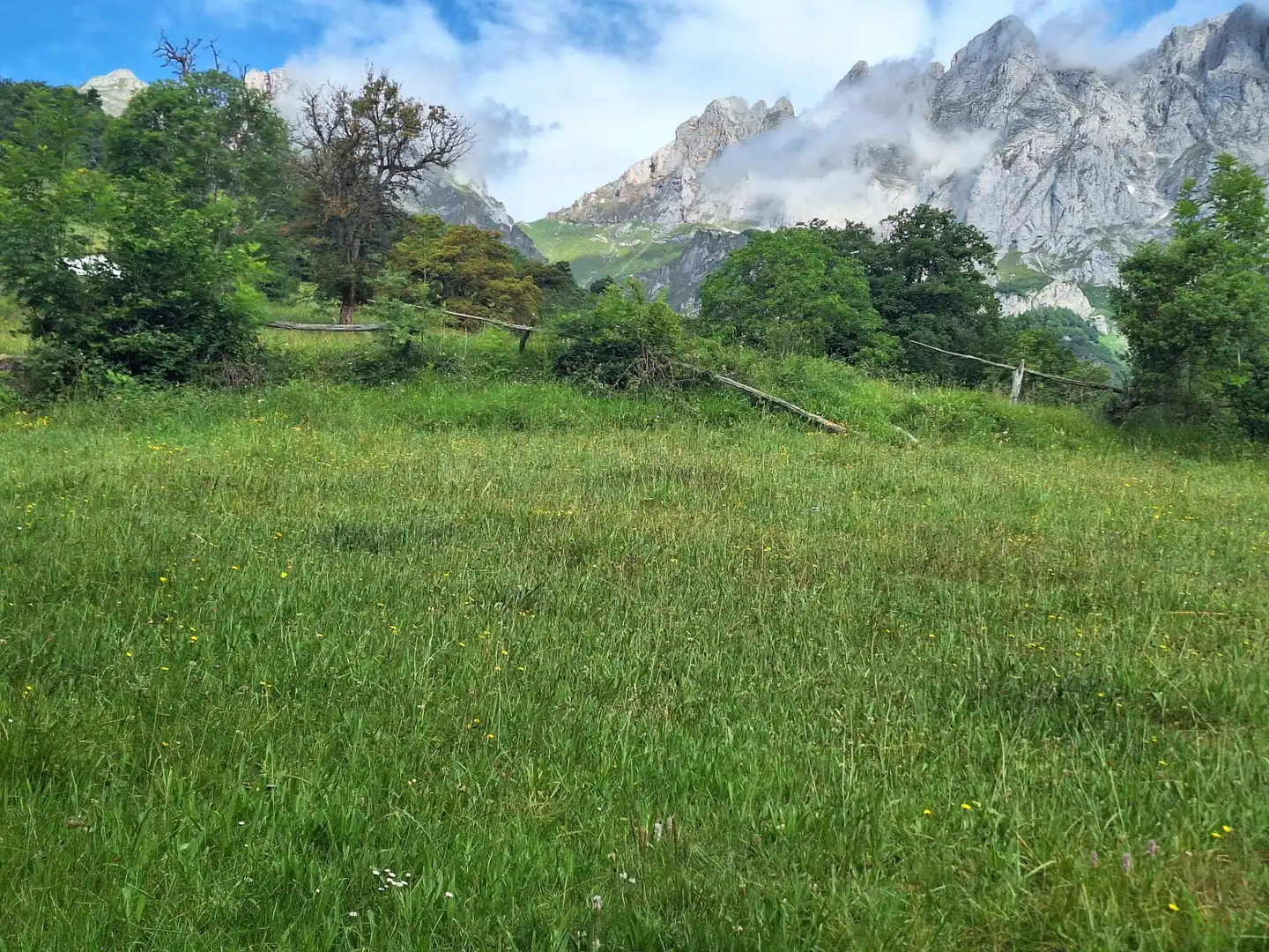 Terreni e lotti in vendita a Camaleño