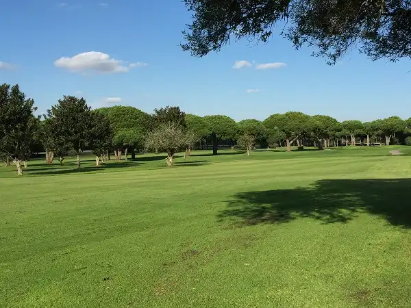 Vista exterior de Casa o xalet en venda en Chiclana de la Frontera amb Aire condicionat, Terrassa i Moblat