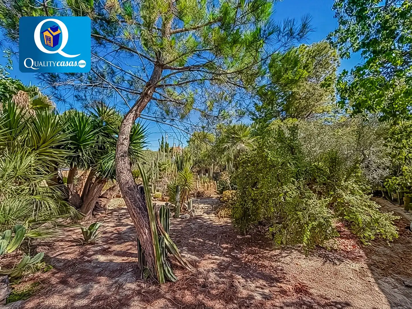Villa zum Verkauf in Partidas de Alicante, imagen 21