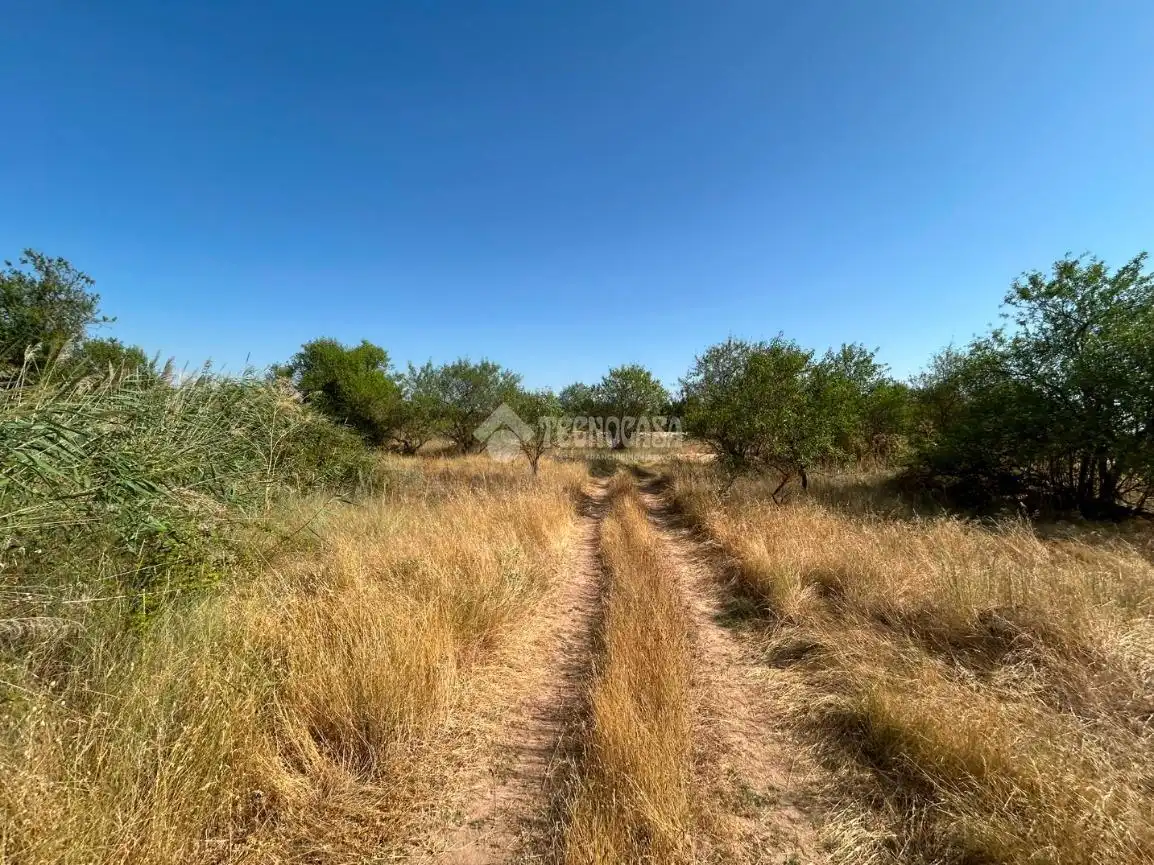 Rural land for sale in Laguna de Duero, imagen 15