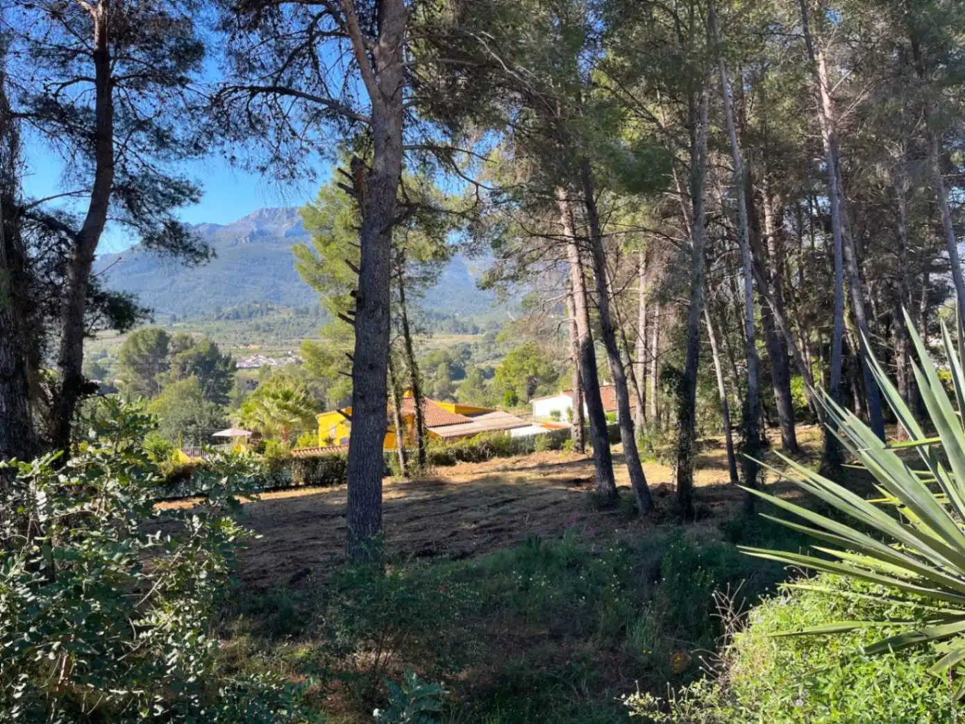 Terreny residencial en venda a Alcalalí, imagen 2