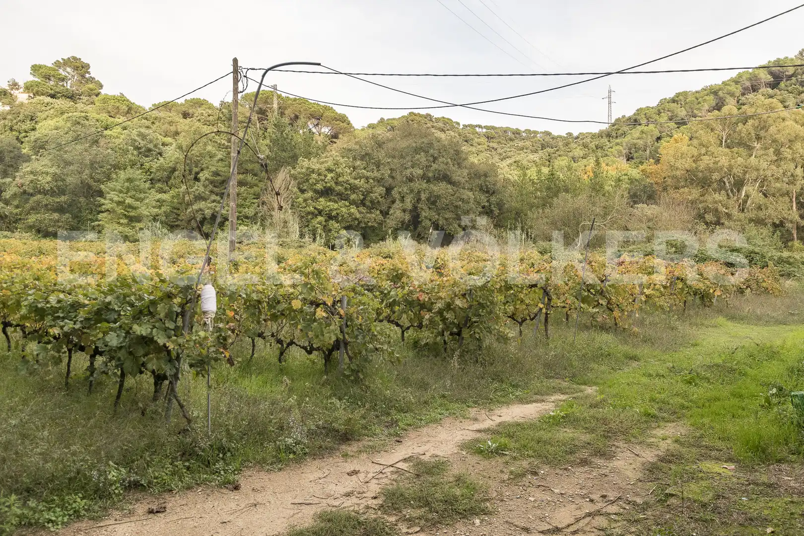 Finca rústica en venta en Sant Cebrià de Vallalta con Calefacción, Jardín privado y Terraza