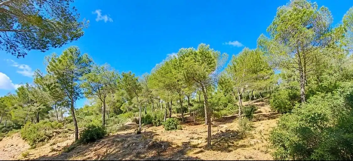 Residencial en venta en Capdepera