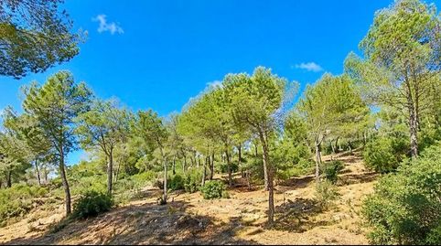 Foto 3 de Residencial en venta en Canyamel, Capdepera
