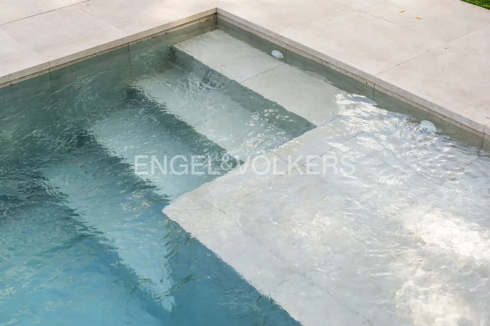 Houses for rent in Los Gallos