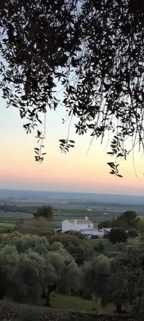 Vista exterior de Finca rústica en venda en Peñaflor amb Aire condicionat, Jardí privat i Traster