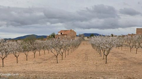 FINCA CON CASA DE CAMPO, immagine 2