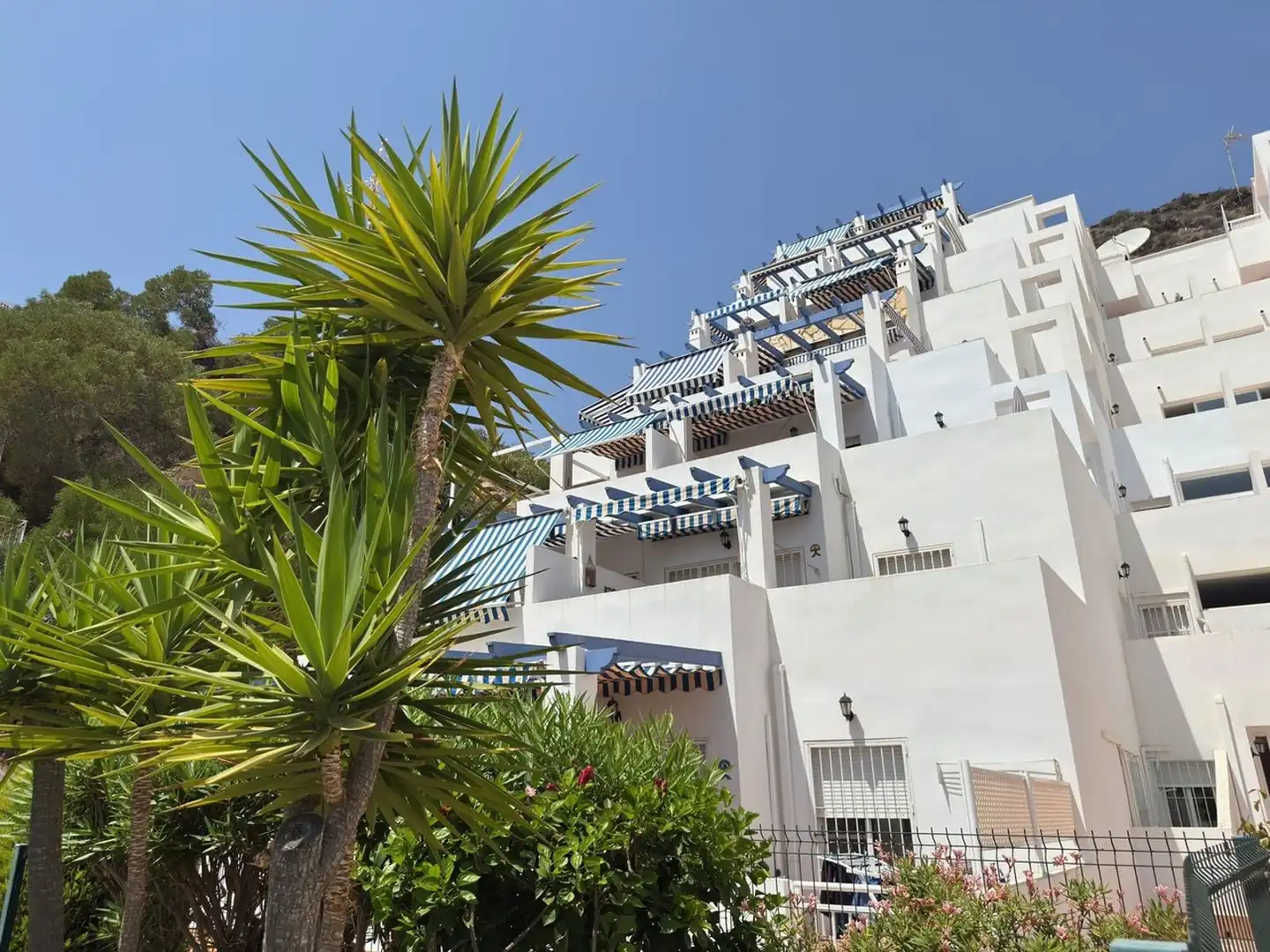 Appartamento con piscina in vendita a CALLE CLARA CAMPOAMOR S/N, imagen 25