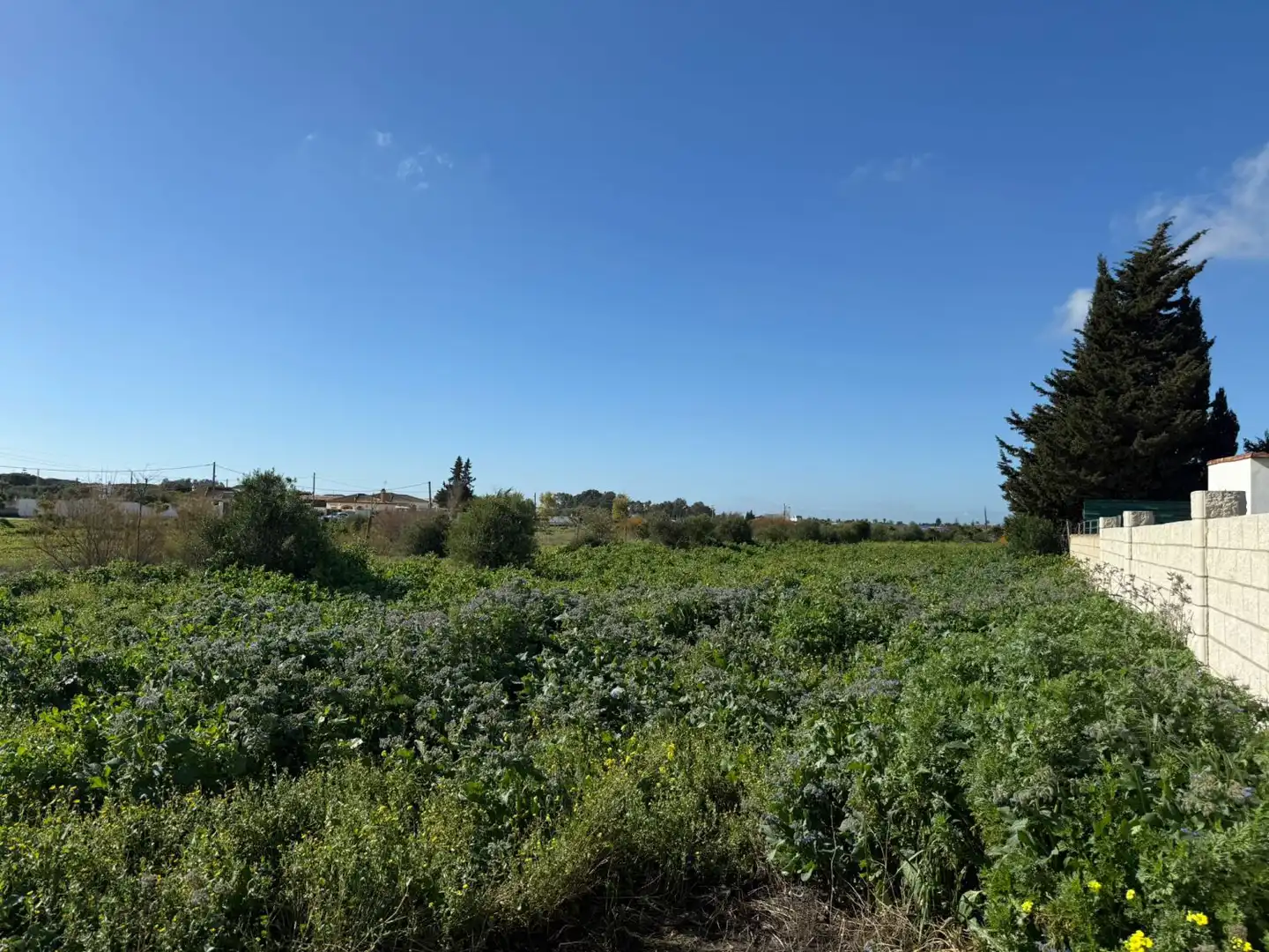 Terreni e lotti in vendita a Valle del Corneja, imagen 13