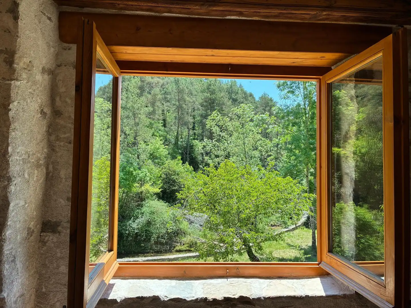 Jardí de Finca rústica en venda en Borredà amb Jardí privat, Terrassa i Traster