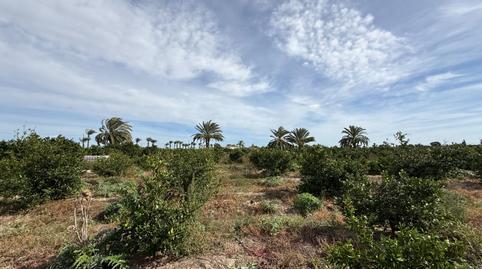 Foto 5 de Casa o xalet en venda a Callosa de Segura, Alicante