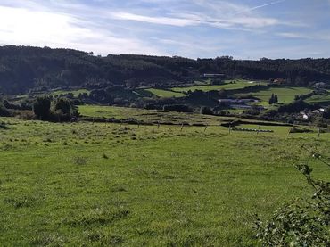 Terreno rustico in vendita a Carreño