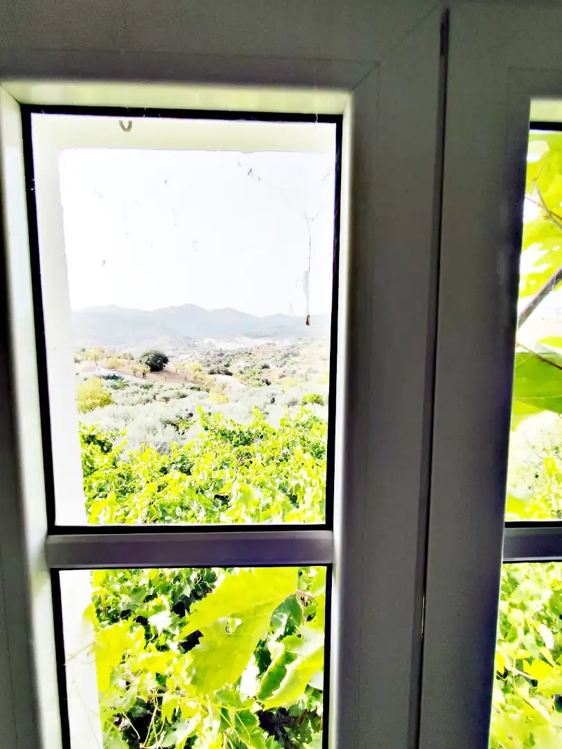 Vista exterior de Finca rústica en venta en Coín con Jardín privado, Trastero y Amueblado