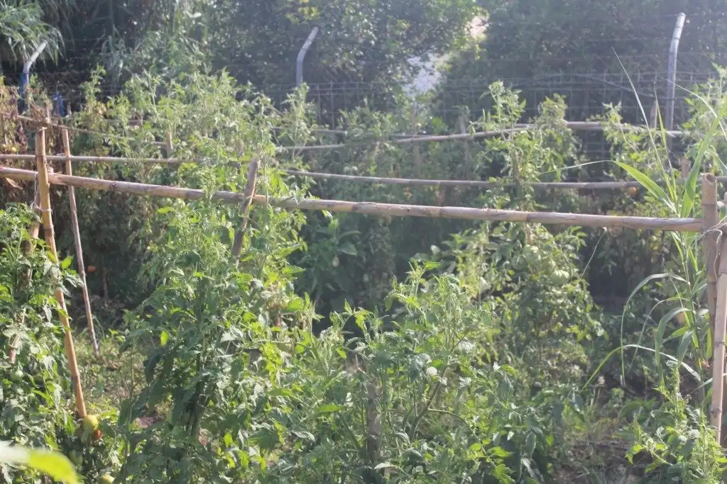 Casa o xalet en venda en San Martín del Tesorillo amb Calefacció, Jardí privat i Terrassa
