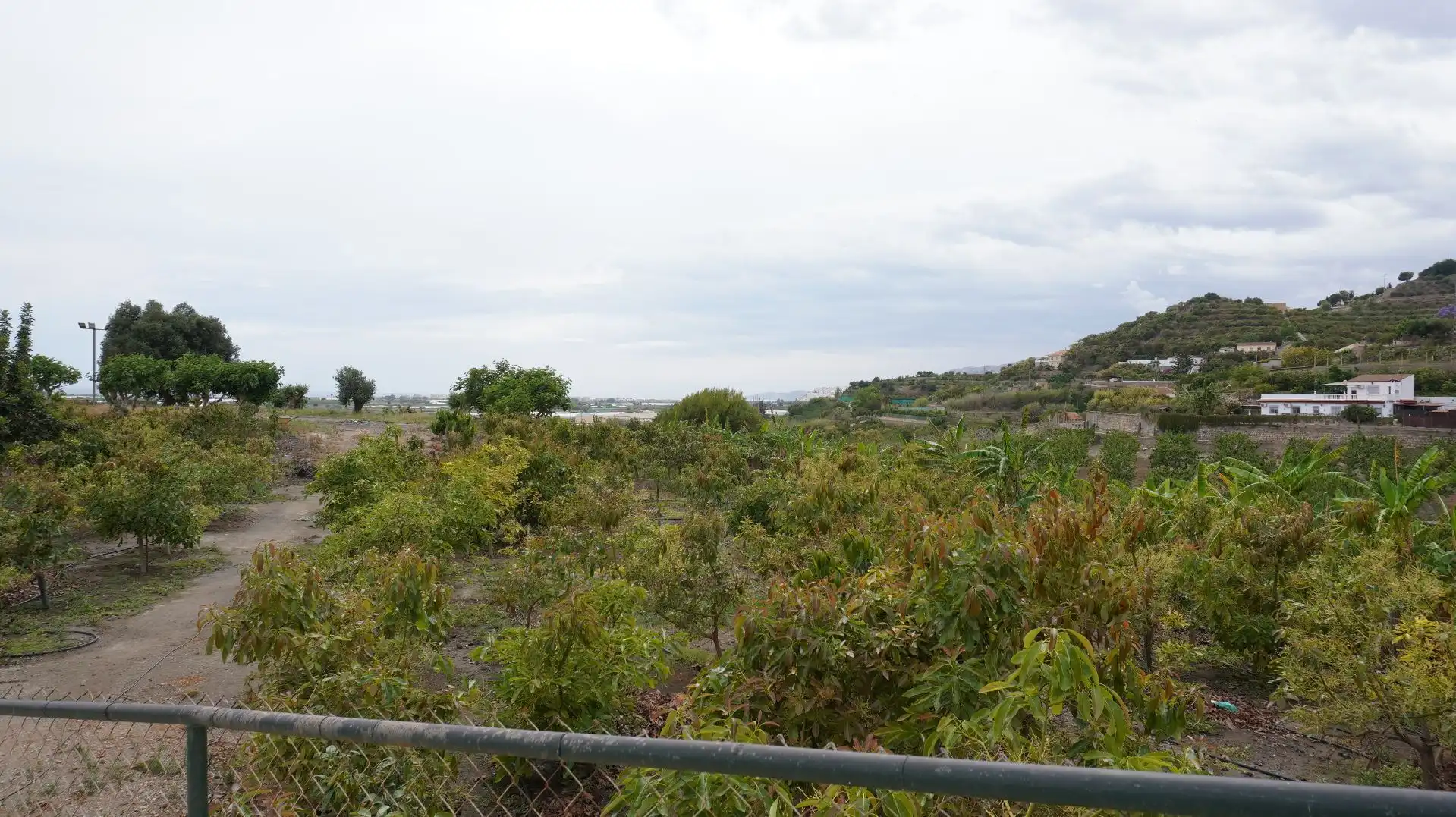Fabrikhallen zum Verkauf in Motril
