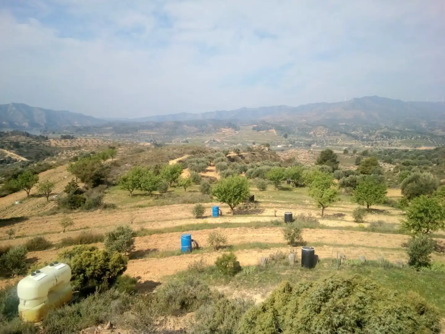 Terreny en venda en Riba-roja d'Ebre