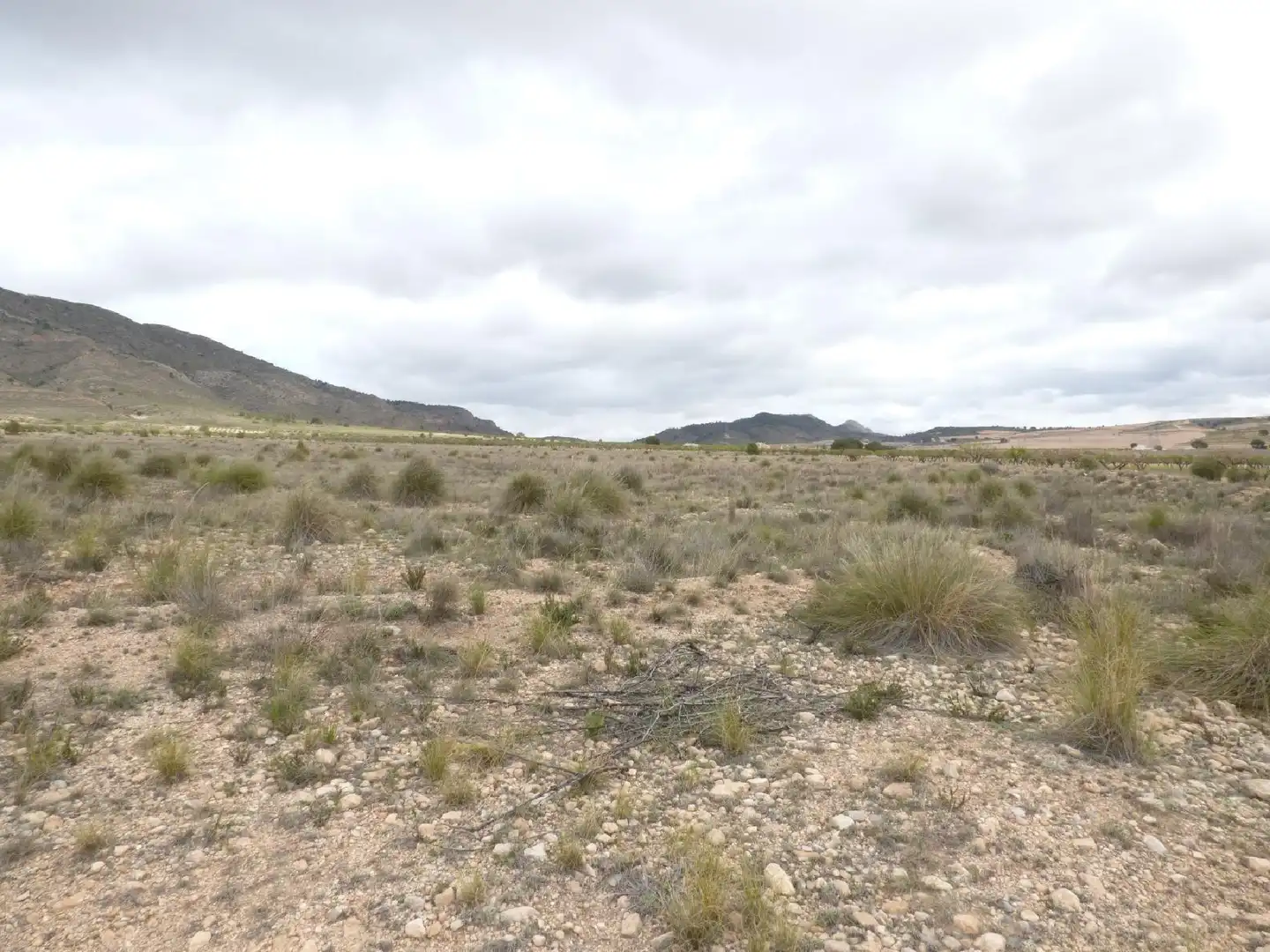 Rustikales Grundstück zum Verkauf in Jumilla, imagen 17