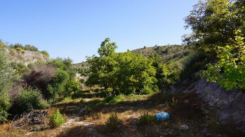 Finca rústica con cortijo, almacén y agua a dos kilómetros de Los Tablones, imatge 4